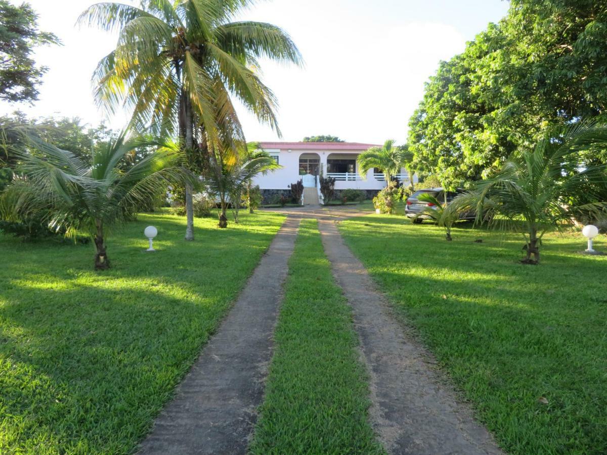 Ti Cajou Appartement Baie-Mahault Buitenkant foto