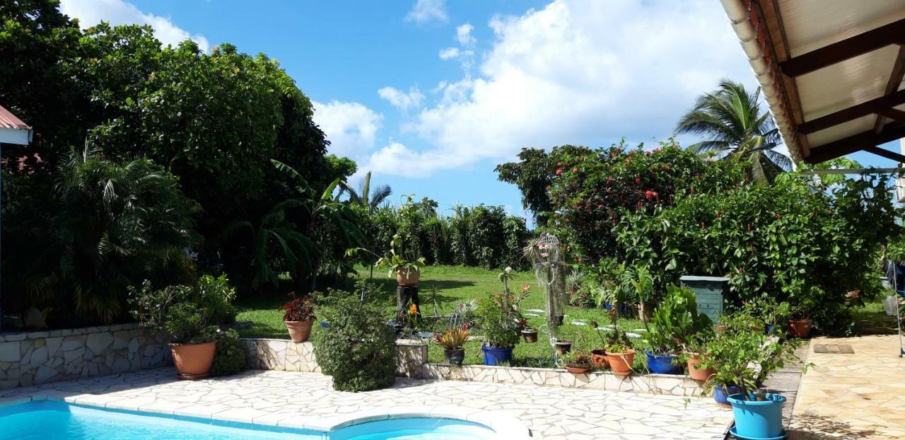 Ti Cajou Appartement Baie-Mahault Buitenkant foto